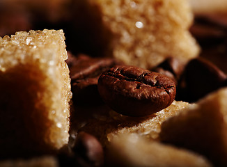 Image showing Coffee beans background