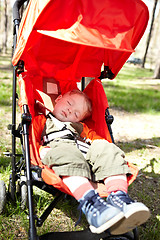 Image showing Kid sleeps the buggy