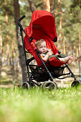 Image showing Kid in the buggy