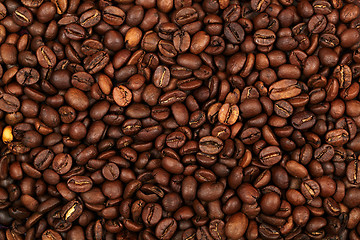 Image showing Coffee beans background