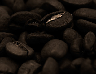 Image showing Coffee beans sepia