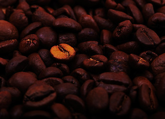 Image showing Coffee beans background