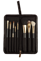 Image showing Makeup artist brush kit