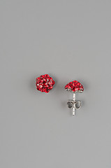 Image showing Woman earrings