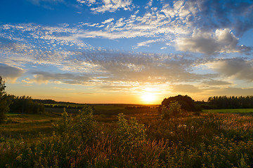 Image showing Sunset over green fields