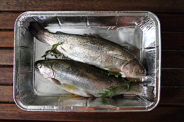 Image showing raw trout fish 