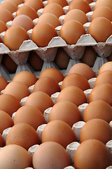 Image showing fresh eggs 