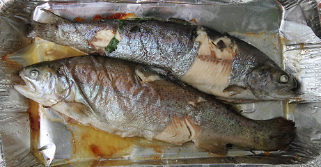 Image showing baked trout fish 