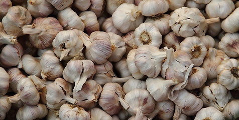 Image showing garlic background