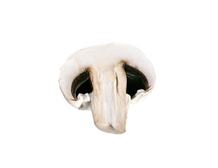 Image showing mushroom isolated on white