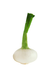 Image showing onion isolated on white