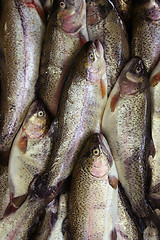 Image showing Fresh fish