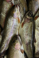 Image showing Fresh fish