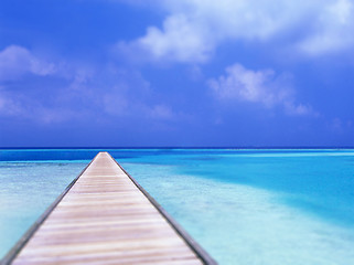 Image showing Berth coast. On a white background.