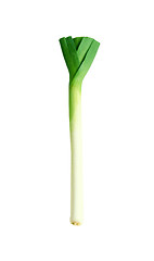 Image showing Green onion isolated on white