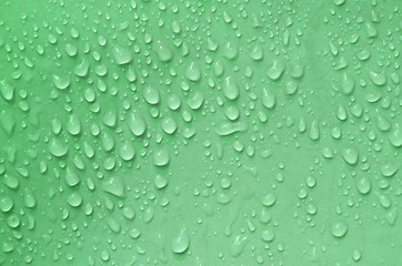 Image showing Water droplets on green