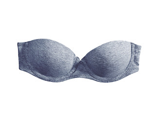 Image showing Blue lacy feminine bra on white background