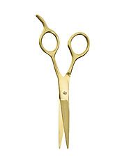 Image showing a pair of golden vintage scissors