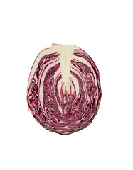 Image showing Red Cabbage cross section on White Background