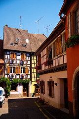 Image showing Stork on a roof in Alsace