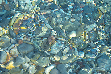 Image showing Rocks in a shallow pond