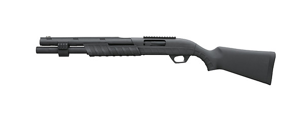 Image showing Shotgun on a white background