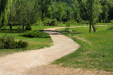 Image showing Summer park road