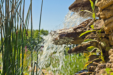 Image showing Little cascade in a garden