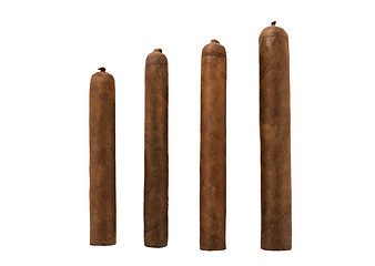 Image showing isolated cigars all sizes