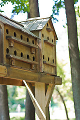 Image showing Birdhouses on a tree