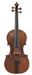 Image showing Classical violin - isolated (white background)