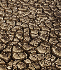 Image showing Background of dry cracked soil dirt or earth during drought