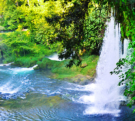 Image showing Waterfall