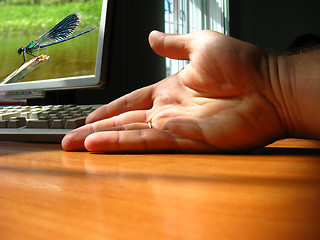 Image showing The hand of the person near a computer