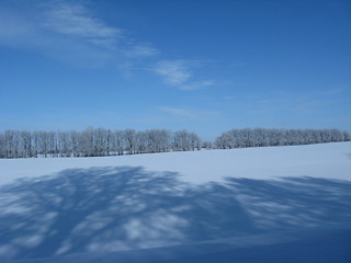 Image showing Beautiful winter landscape with snow on the field