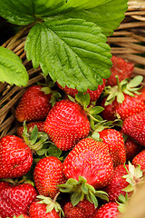 Image showing Strawberry berries