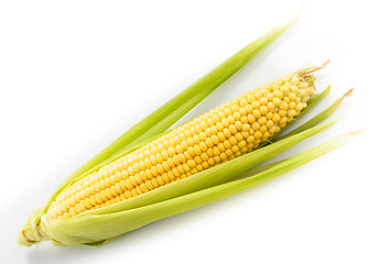 Image showing Corn cob