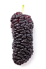 Image showing Mulberry berry