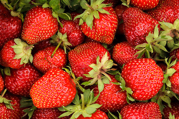 Image showing Mulberry berries