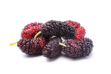 Image showing Mulberry berries