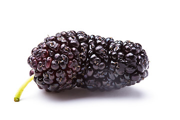 Image showing Mulberry berry