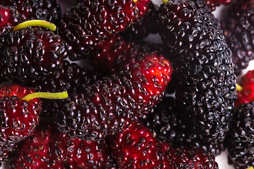 Image showing Mulberry berries
