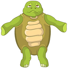 Image showing Funny Turtle. Confusion.