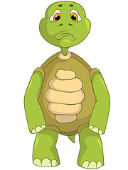 Image showing Sad Turtle.