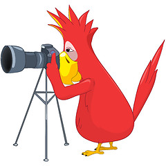 Image showing Funny Parrot. Photographer.