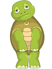 Image showing Sad Turtle.