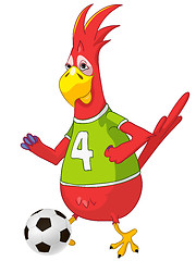 Image showing Funny Parrot. Soccer.