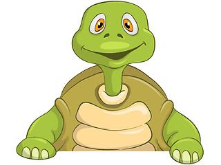 Image showing Funny Turtle