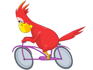 Image showing Funny Parrot. Biker.