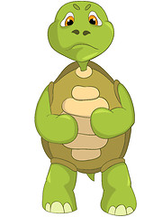 Image showing Angry Turtle.